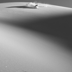 Shadow play by Tommy Chandler