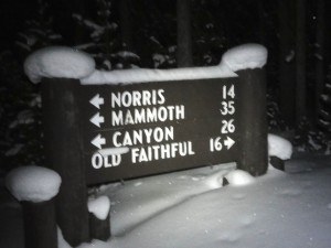 MammothSign