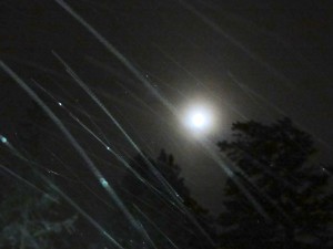 Snow:Moon